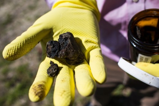 130417174917-09-nowak-gulf-fishing-custom-1[1]